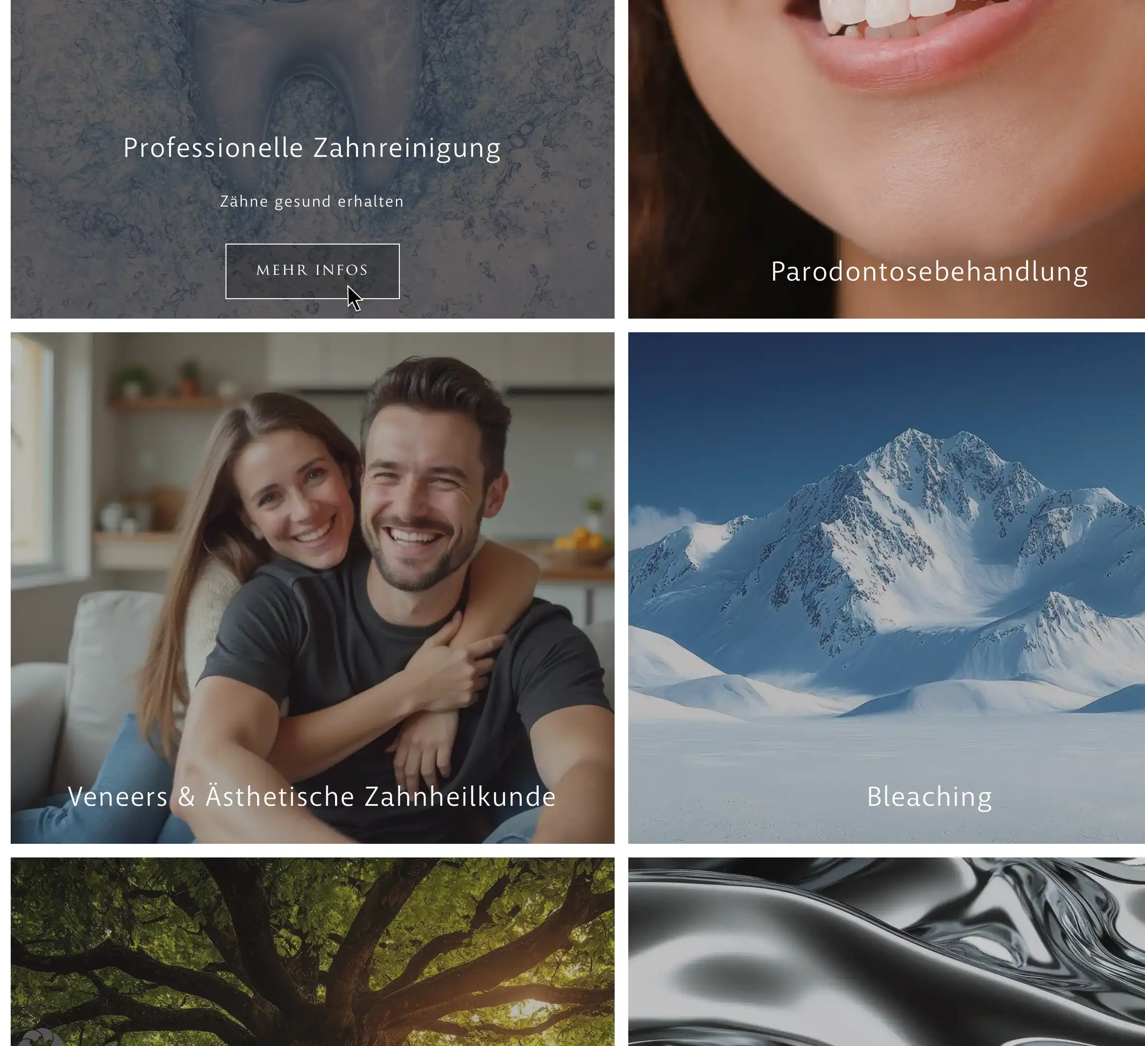 Dr. Carola Stache Screenshot Detail Boxen